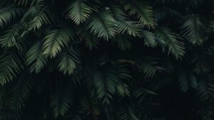 Çiftler için 22 Seksi ve Eğlenceli İçki Oyunları