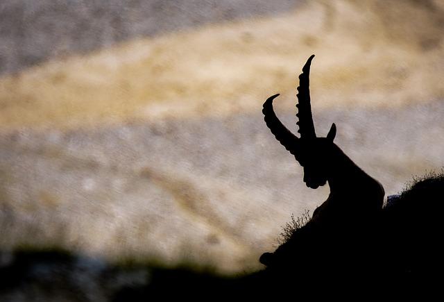 Boynuzlamak Nedir​ ve Neden İlişkiniz İçin Olabilir?