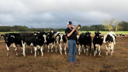 14 Yoğun Kanepe Seks Pozisyonları + Gösteriler
